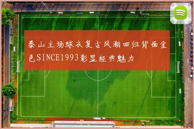 泰山主场球衣复古风潮回归背面金色SINCE1993彰显经典魅力