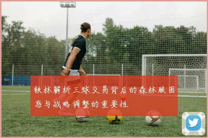 铁林解析三球交易背后的森林狼困惑与战略调整的重要性
