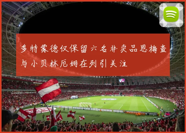 多特蒙德仅保留六名非卖品恩梅查与小贝林厄姆在列引关注