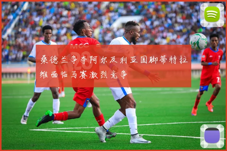 桑德兰争夺阿尔及利亚国脚蒂特拉维面临马赛激烈竞争